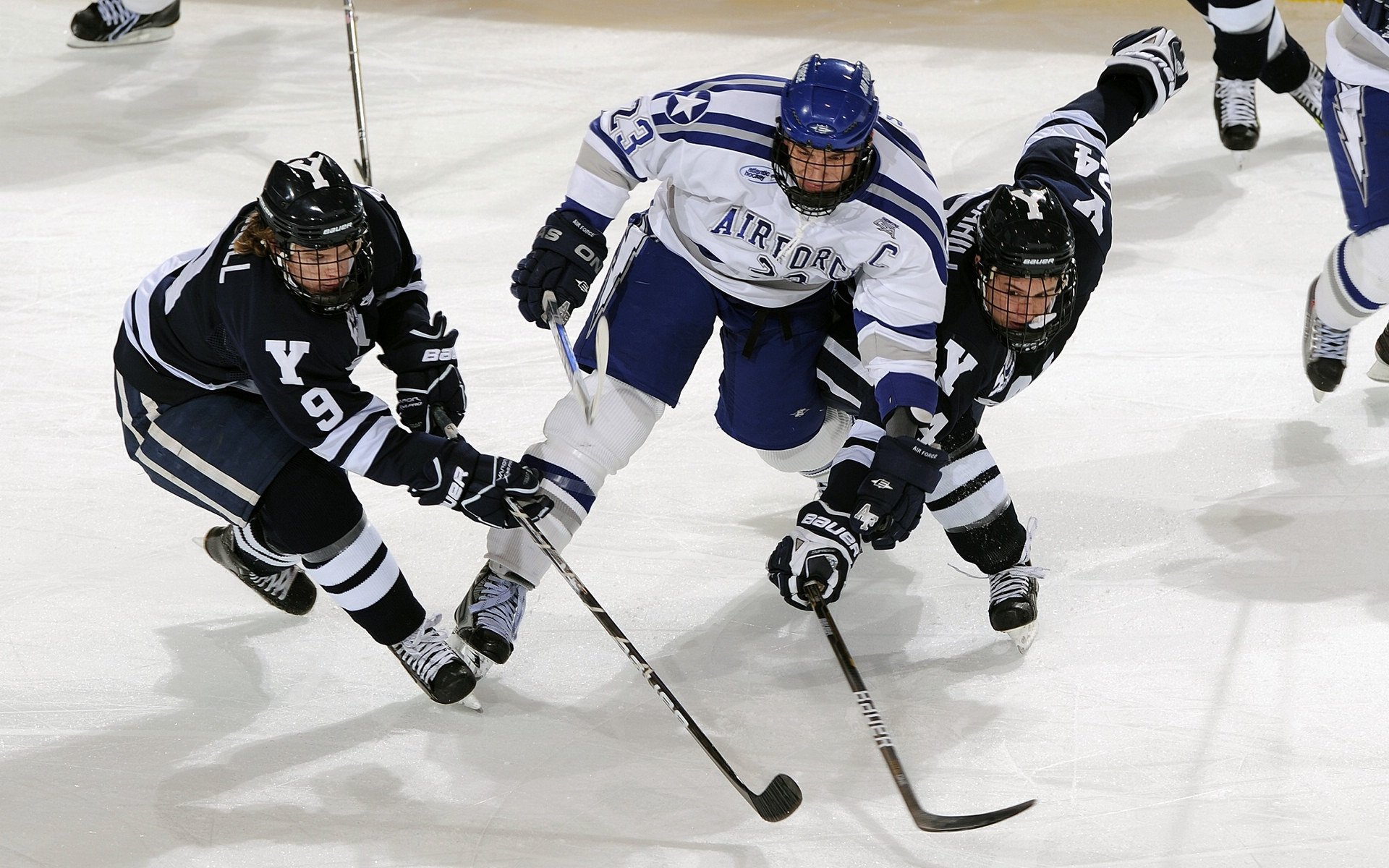 武切维奇,当聚光灯亮起,公牛的心脏开始为鏖战而跳动